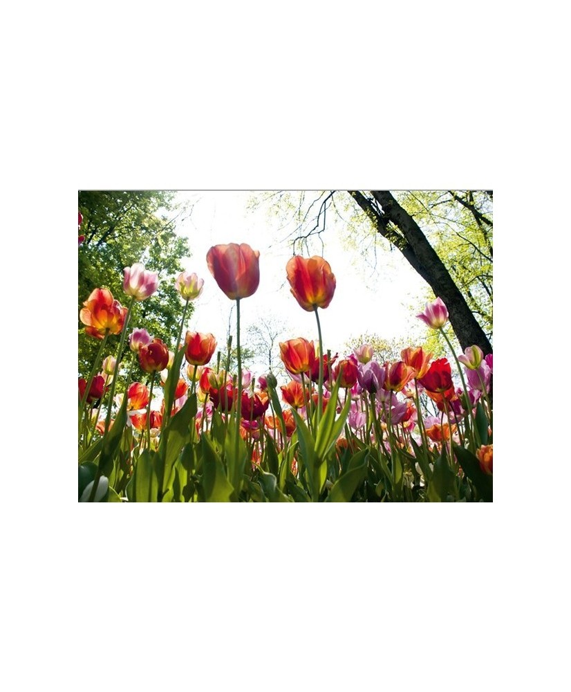 Painel decorativo FT0120