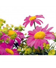 Painel decorativo FT0122