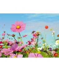 Painel decorativo FT0129