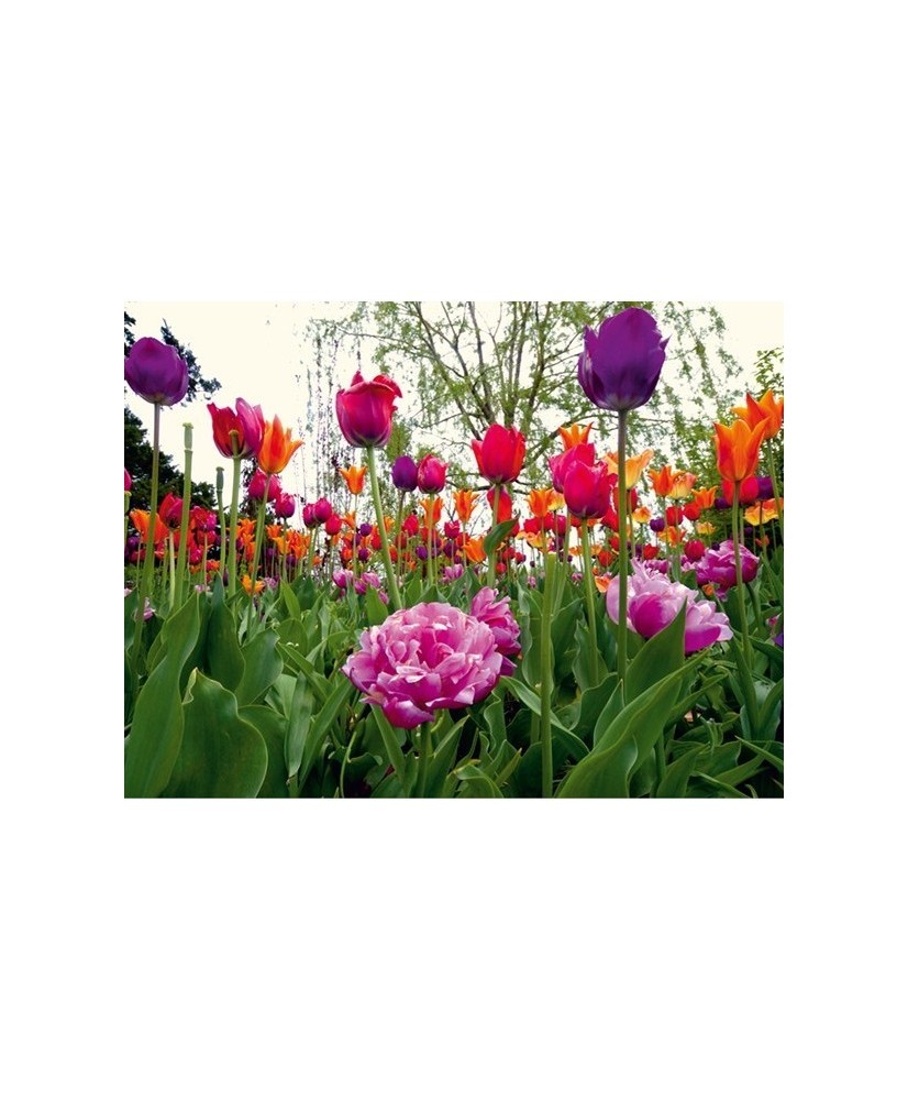 Painel decorativo FT0136