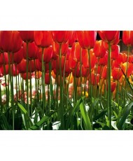 Painel decorativo FT0137