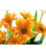 Painel decorativo FT0138