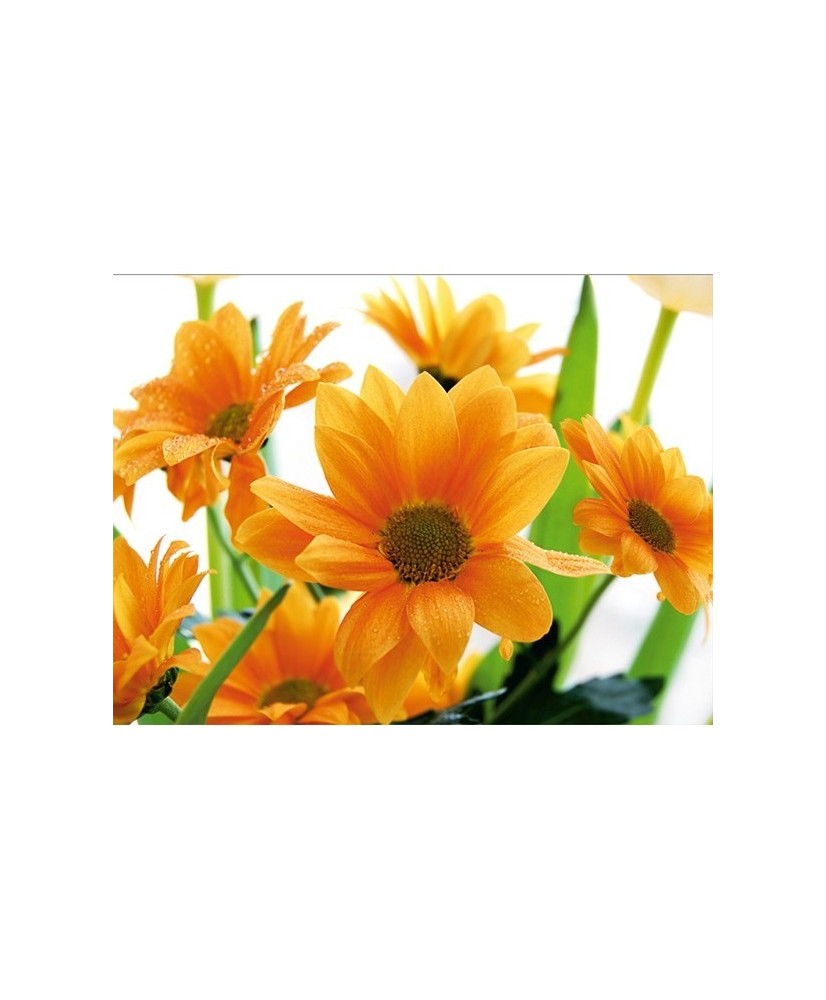 Painel decorativo FT0138