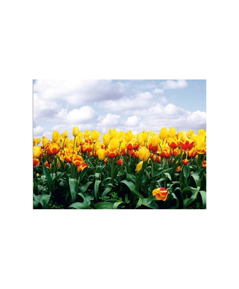 Painel decorativo FT0140