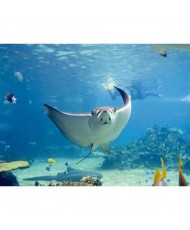 Painel decorativo FT0144