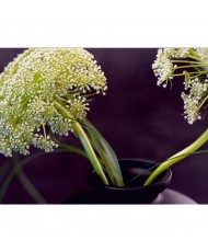 Painel decorativo FT0178