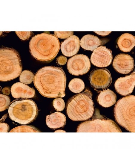 Painel decorativo FT0192