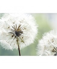 Painel decorativo FT0196