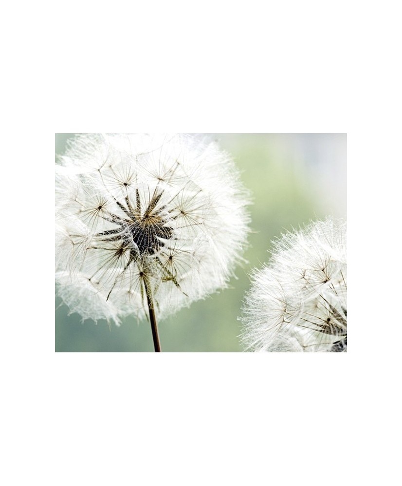 Painel decorativo FT0196