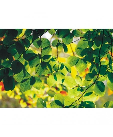 Painel decorativo FT0310