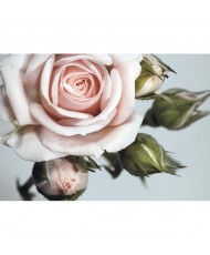 Painel decorativo FT0312