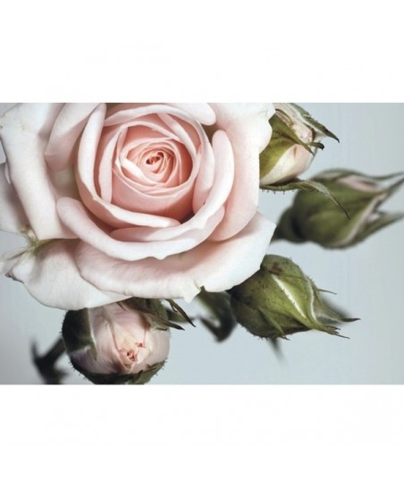 Painel decorativo FT0312