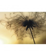 Painel decorativo FT0314