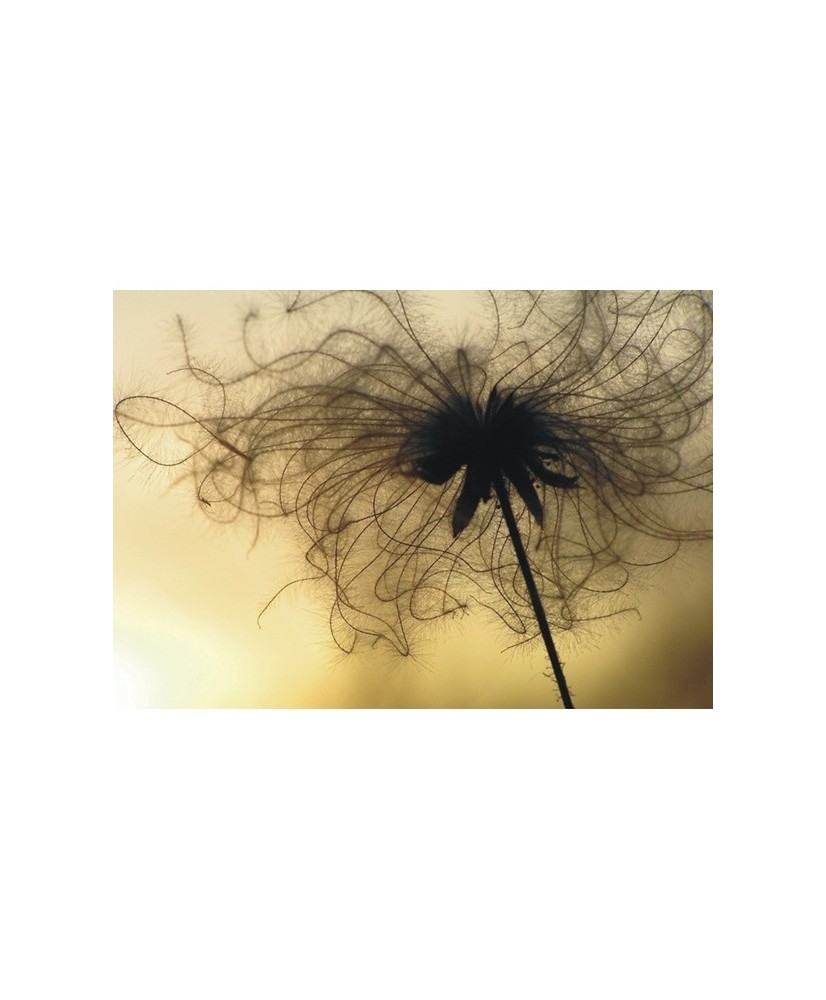 Painel decorativo FT0314