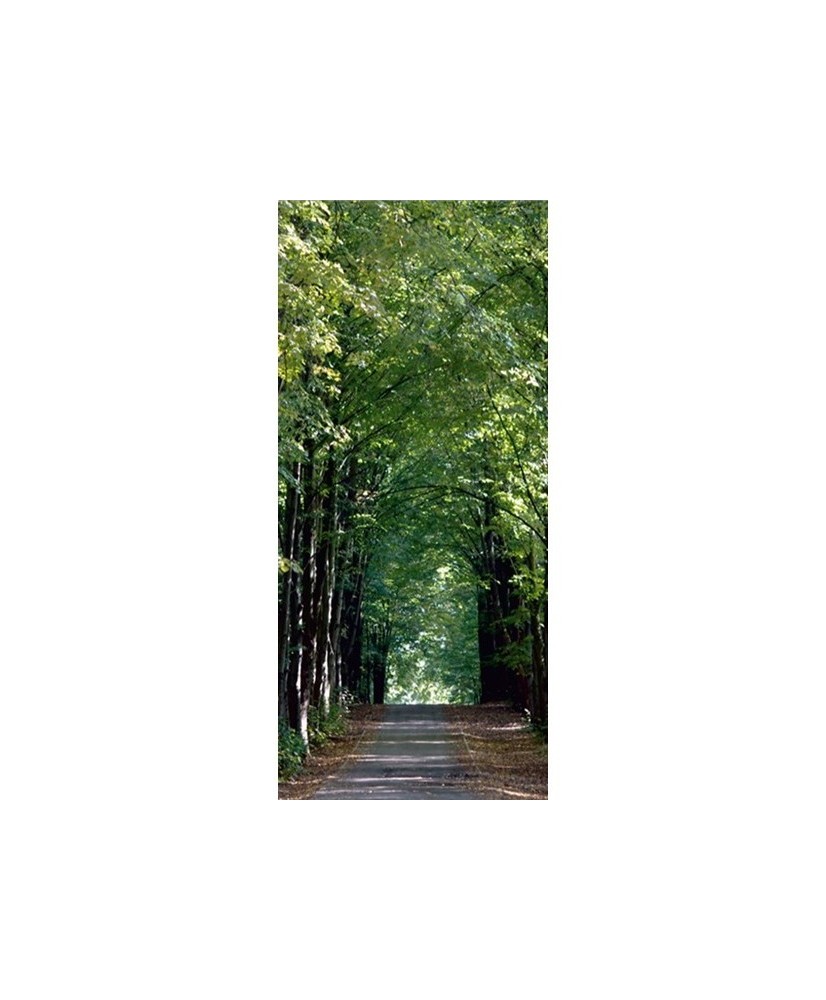 Painel decorativo FT0008