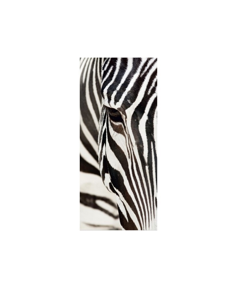 Painel decorativo FT0211 Painel decorativo FT0211