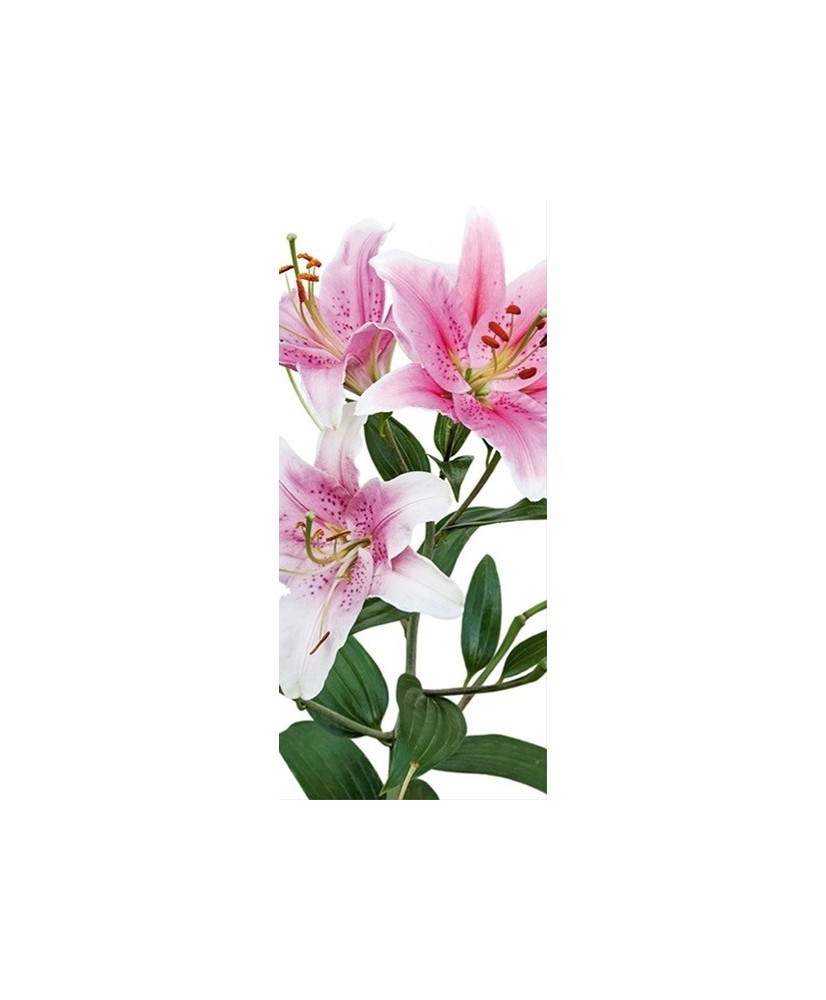 Painel decorativo FT0213 Painel decorativo FT0213