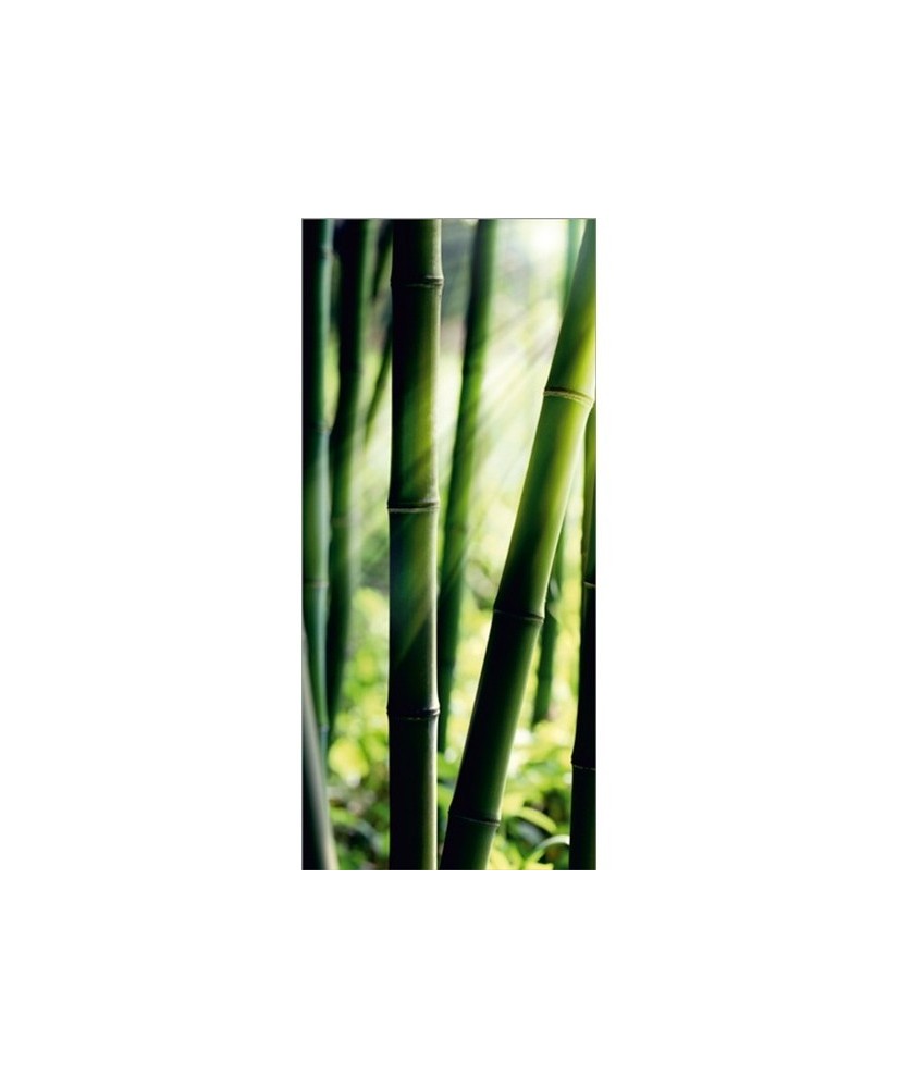 Painel decorativo FT0214 Painel decorativo FT0214