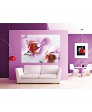 Painel decorativo FTM0489