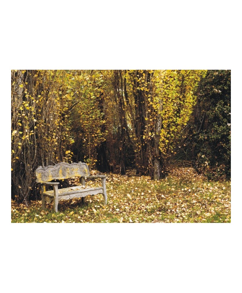 Painel decorativo FT0324