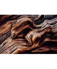 Painel decorativo Old Giant