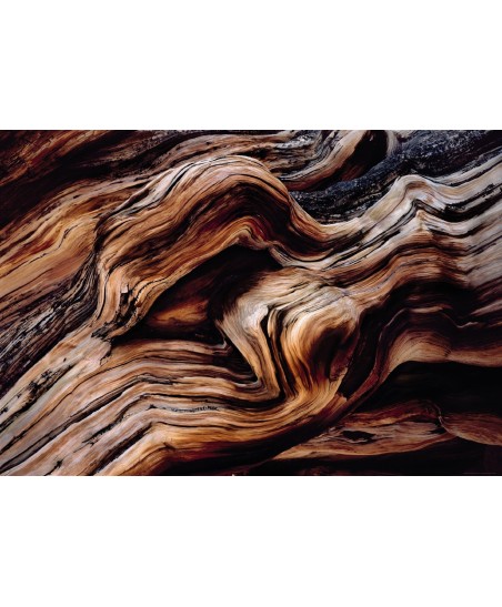 Painel decorativo Old Giant