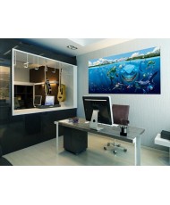 Painel decorativo Nemo & Bruce