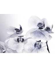 Painel decorativo FTS 1306