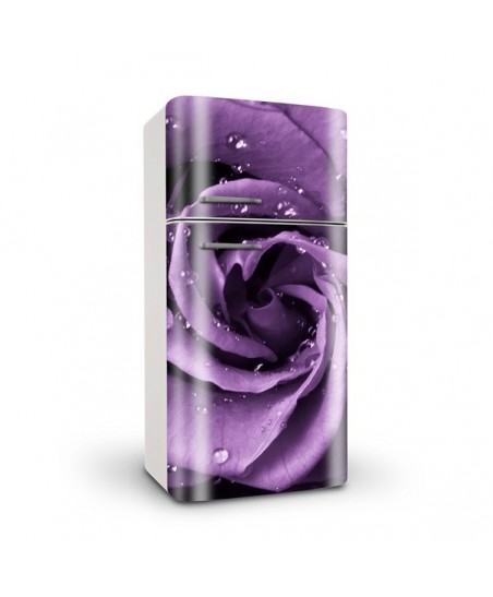 Paineis Frigorifico N7