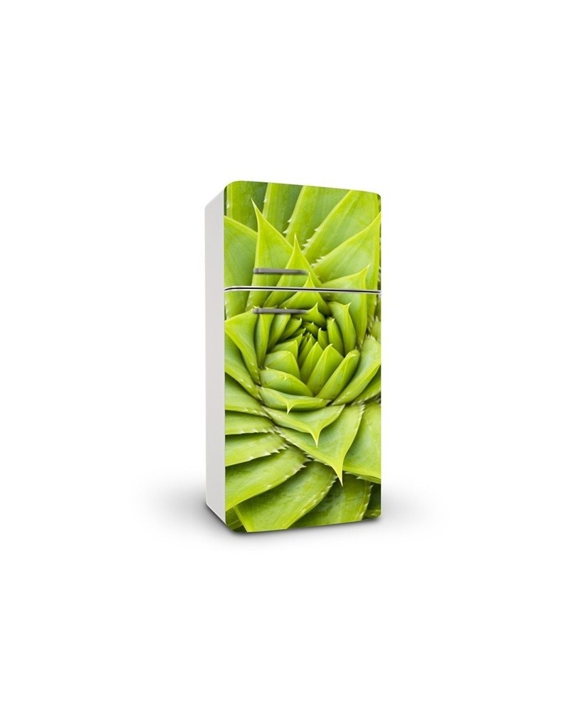 Paineis Frigorifico N53