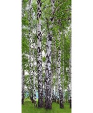 Painel decorativo FT1510