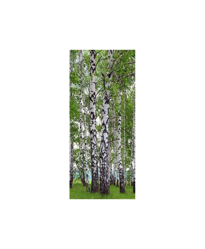 Painel decorativo FT1510
