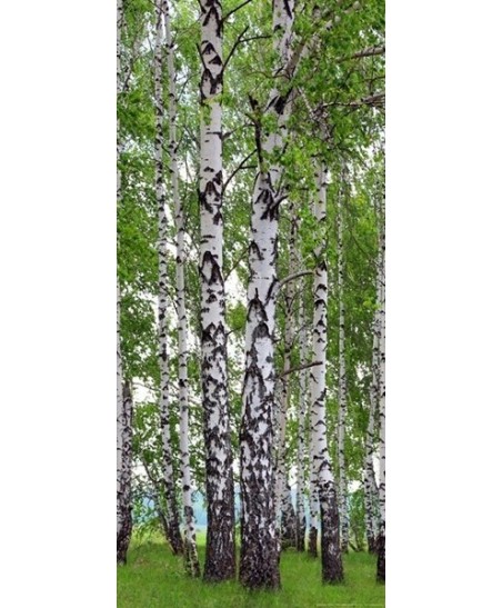 Painel decorativo FT1510