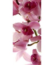 Painel decorativo FT1514