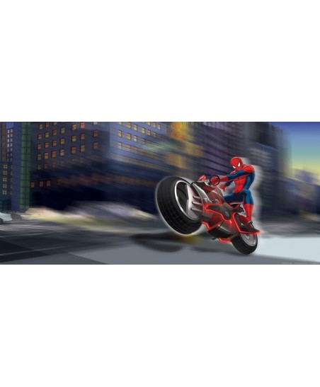 Painel decorativo SPIDERMAN ON BIKE