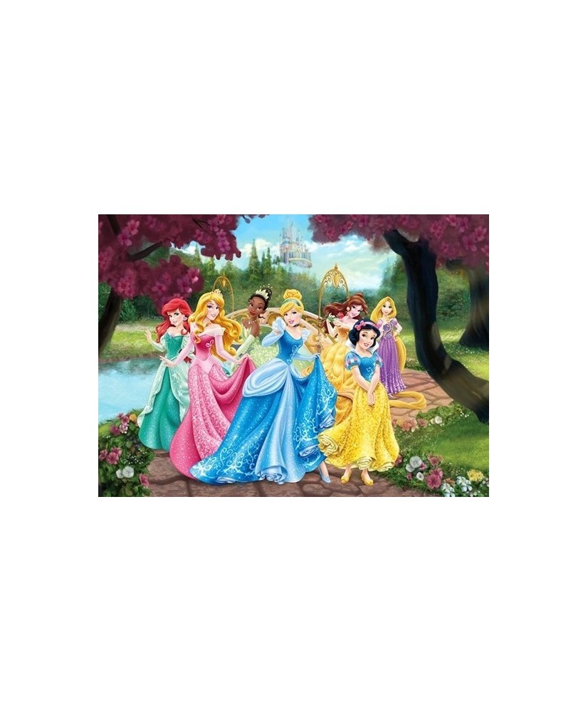 Painel decorativo Princess