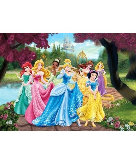 Painel decorativo Princess