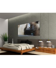 Painel decorativo FTG0905