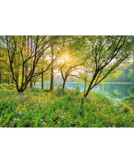 Painel decorativo Spring Lake