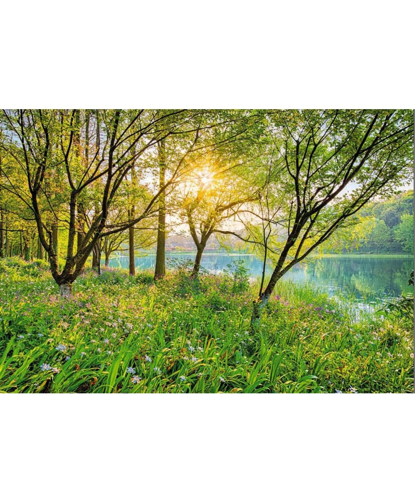 Painel decorativo Spring Lake