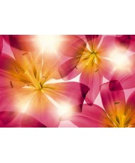 Painel decorativo Summer Sun  