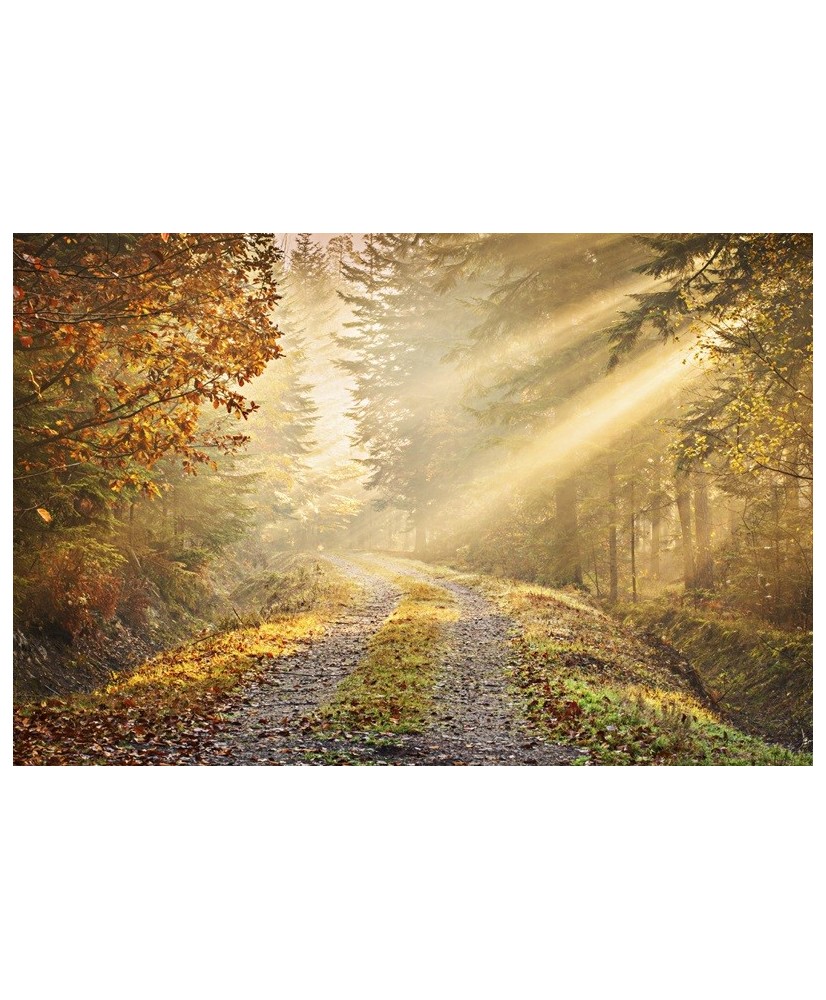 Painel decorativo FOREST 002