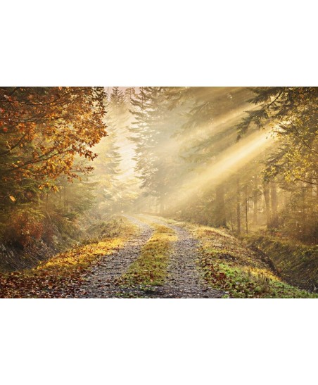 Painel decorativo FOREST 002