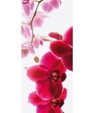  Painel decorativo ORCHID-001