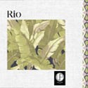 Rio